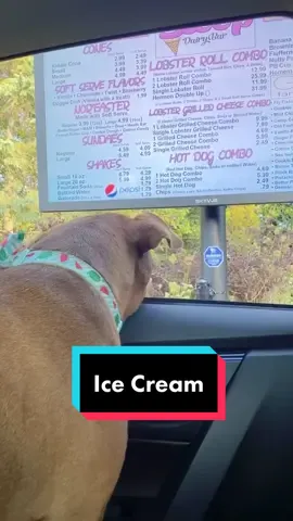 When Dad let’s me order ice cream #tatumtalks #dogsoftiktok