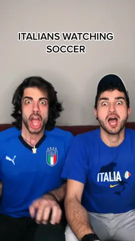 Soccer, baseball and Italians. #lionfieldmusic #fyp #foryou #italian #italians #italiancheck #Soccer #futbol #baseball #calcio