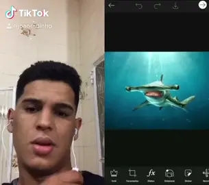 #foryoupage #goviral #tiktokbrasil #fy #pravoce