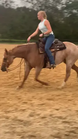 Anyone miss Mayzie?!❤️#mygirl#ranchhorse#ranch#ranchriding#reining#horse#horsegirl#fyp#trend#ThatsHot#foryou#trendy#college#Love#horsesontiktok#t