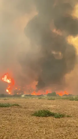 More from Day 2 of the #ElDoradoFire 😳 #ThatsHot #fireseason2020 #fyp #foryou #california #fire #yucaipa #viral #trending #xyzbca