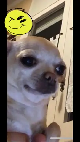 🙂🙂🙂