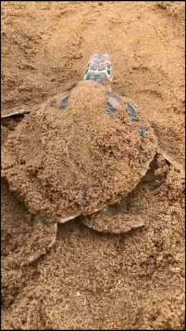 love nature #seafood #outdoorfun #outdoorlife #goingout #outgoing