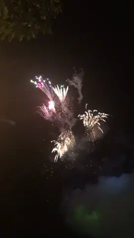 Tết 2021 năm nay bạn sẽ đón giao thừa cùng ai ? #tet2021 #tet2021vuiơilàvui