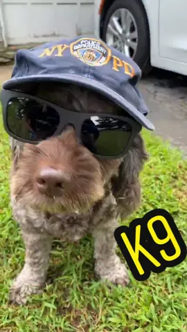 NYPD ain’t gonna catch me riding dirty after my “How to SuperClean your Interior” video goes live! #ChrisFix #Cooper #Cops #NYPD #RidingDirty