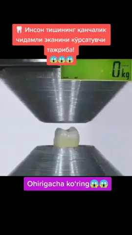 #clinic #anatomicalheart #хирургия #jarroh #uzbekistan #stomatologia