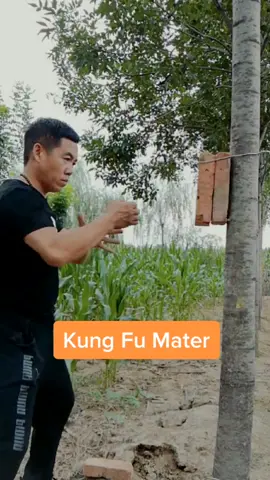 The master can also add!!#fyp #master #sport #kungfu #foryoupage @tiktok