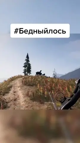 Жалко лося...😂 #wdf #gamewadafaq #игры #приколы #приколывиграх #games #farcry #farcry4 #farcry5 #фаркрай