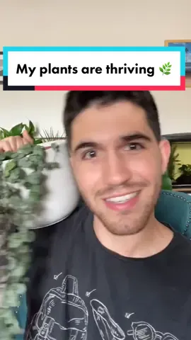 This is how I make my plants thrive! 🌿 #ScienceAtHome #LearnOnTikTok #tiktokpartner #plants #fyp