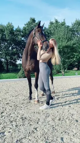 Grow a pony 🤓🦄💕 die erste Person bei @ schenkt euch bald ein Pferd 🤯 #fy #foryou #equestrian