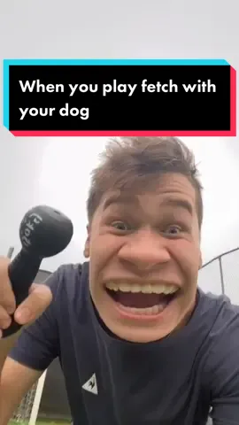 COMMENT if you have a dog 🐶 | Instagram: Lucasivkovic #fyp #foryou #foryoupage #dog