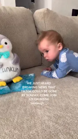 Head over to insta! Is tiktok actually getting the boot?! #franklin #fyp #foryou