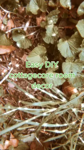 Easy DIY cottagecore decor 🍂 duet me if you try it! #MyArt #cottagecore #cottagecoreaesthetic #roomdecor #DIY #babywitch #goblincore #fypシ