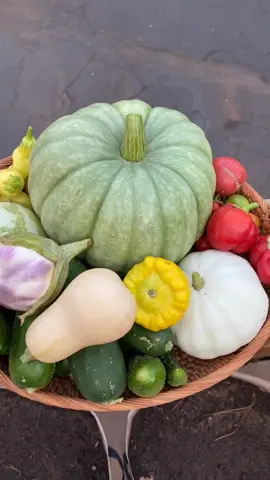 Saturday evening harvest 👩🏼‍🌾 #gardening #grownfromseed #homegrown