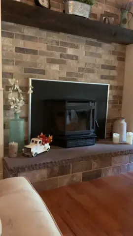 #scrolling #sunday #relax #gsp #puppies #HeyAngel #sleepy #dogofticktok #puppy #tiktokanimals