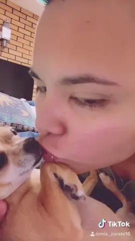 My everything #miazarate #WorldPeace #petmomsoftiktok #chihuahuastiktok #lovemybabygirl