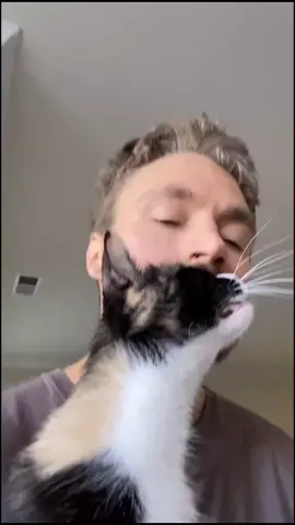 cat sitter is sending me updates #cat #catdad