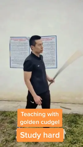 Study hard!#kungfu #master #fyp #foryoupage #sport @tiktok