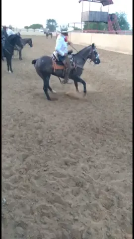 #findesemana#coliadero#parrana#vidanoteacabes