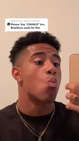 Reply to @saulo_.oliveira i don’t know... yes ? This is the most requested thing so brazilians y’all better blow this up for no reason #cavalo #brazil