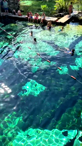 Conoce el Cenote Azul #tiktoktravel #mexicotravel #SabiasQue #cenote #playadelcarmen #quintanaroo #mexico #cancun #fyp
