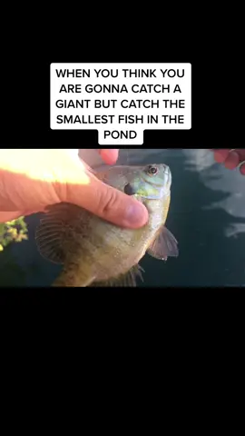 THOUGHT I WAS GONNA CATCH A GIANT 🙁 #sad #depressed #ithought #dink #fyp #fypシ #foryoupage #xyzbca #foryou #4u