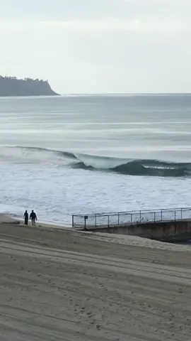 Good morning wave #fyp #foryou #wave #surfing #slab #PetThings #fall #morning