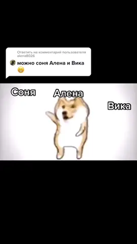 Ответить пользователю @alena8026