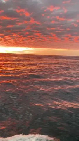 #commercialfishing #commercialfisherman #maine #fishing #lobster #lobsterfishing #mainelobster #seafood #freshseafood #freshcaught #sunrise