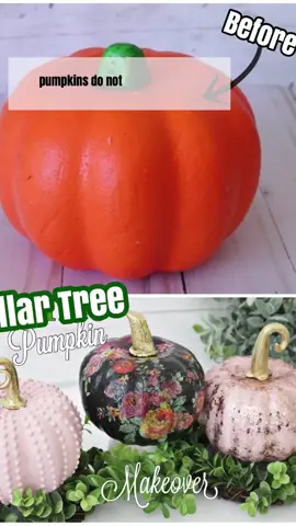 Favorite Dollar Tree Fall Finds🍁🍂 #dollartree #dollartreehaul #dollartreefinds #fall #pumpkinseason #FeelingGood