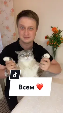 #закрываемтренд #котторнадо #вреках всех ❤️ 😺