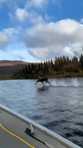 HOW!? 🤯 @kristy_234