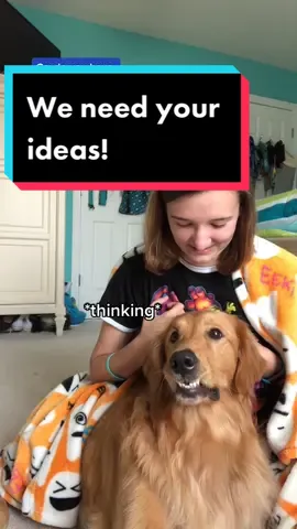 And... GO! 🎃 #goldenretriever #dogsoftiktok #halloween