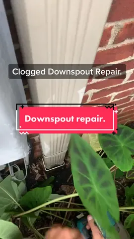 Clogged Downspout Repair. This baby was packed. #gutter #gutterrepair #concordnc #downspoutclog #fyp #dirtyjobs #feelingood