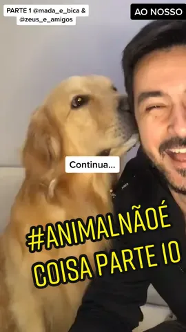 Collab @samoiedakira - PARTE 11 em @wendynesdayy #animalnãoécoisa