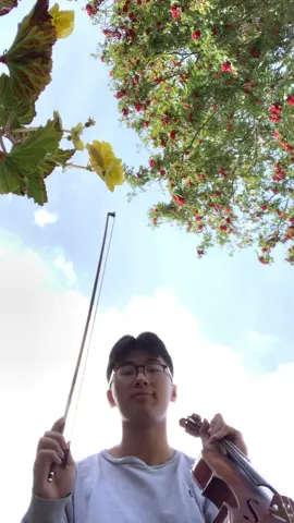 Rip to these covers, rainy season is coming  :( #foryou #violin #fyp #viral