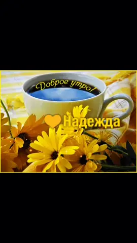 Надя с Добрым Утром