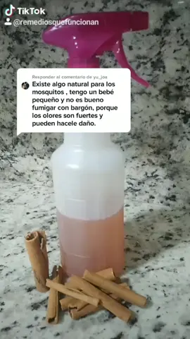 Responder a @yu_joa ELIMINANDO LOS INSECTOS DEL HOGAR #parati