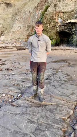 This Jurassic ‘egg’ was filled with prehistoric delights! 😍🦑 Watch as we open it with a single hammer blow 🤯 Check my other posts for more fossils!