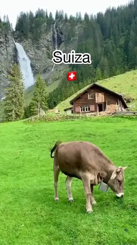 Los paisajes de Suiza dejan sin aliento😍🇨🇭🇨🇭🇨🇭 #suiza #alpessuizos #maravillasnaturales
