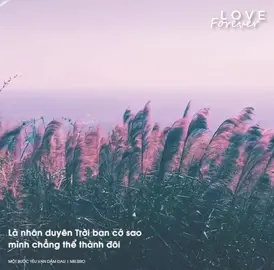 Là nhân duyên trời ban, cớ sao mình chẳng thể thành đôi.. #Love #nhactre