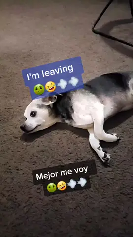🤣🤣🤣🤢💨💨