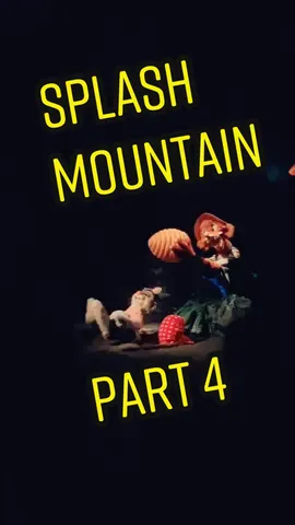 Didn’t know about that drop on #splashmountain part 4  #disneyworld @queenmargieee @bermudez_1