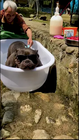 Great day😄Bathe👁#dog #boos #beast