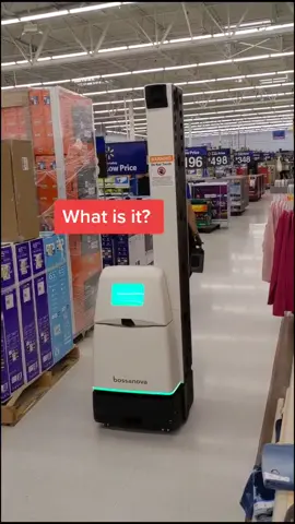 what is it? #walmart #robot #CTCVoiceBox #DayInMyLife #OikosOneTrip #fyp #wtf #whatisit #share #shopping #funny #omg #MomsofTikTok #thisiscrazy
