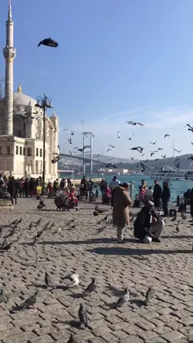 منظر البحر و الجسر و المسجد مع بعض و الحمام يطير حولهم اخذ قلبي و روحي😔💕💕#tiktoktravel #fyp #istanbul #travel #turkey