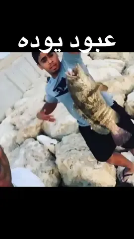الفيديو الاصلي  عبود يوده  #عبود_يوده  #marin #fypシ #salty #fishing #tp14k #بحري #OvercomeYourFear #هامور