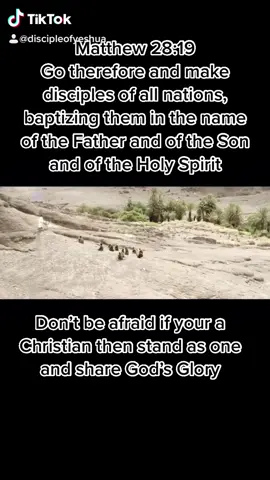 Stand up Christians #Jesusistheway #fyp #unashamedchristian #God #spreadthewordofgod #foryou #viral #trending #DoggyAnthem #FallAesthetic