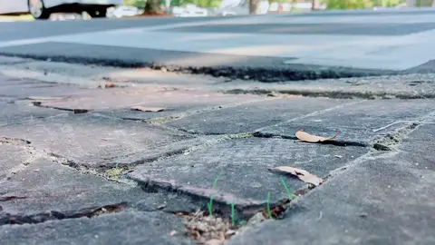 Just some ambient street sounds for your day. use this for some sweet lofi jams duet. plz #backgroundsound #fyp #streetnoise #fall #soundscapes