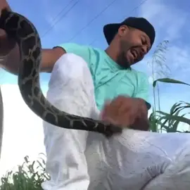 He was so calm about it! 👀🐍😳 @nickthewrangler #fyu #4u #foryou